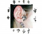 ear leaf silver